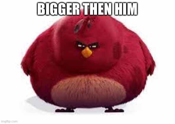 biggest bird | BIGGER THEN HIM | image tagged in biggest bird | made w/ Imgflip meme maker