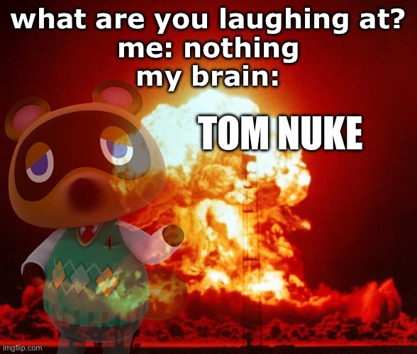 my brain is so silly | what are you laughing at?
me: nothing
my brain:; TOM NUKE | image tagged in nuke | made w/ Imgflip meme maker