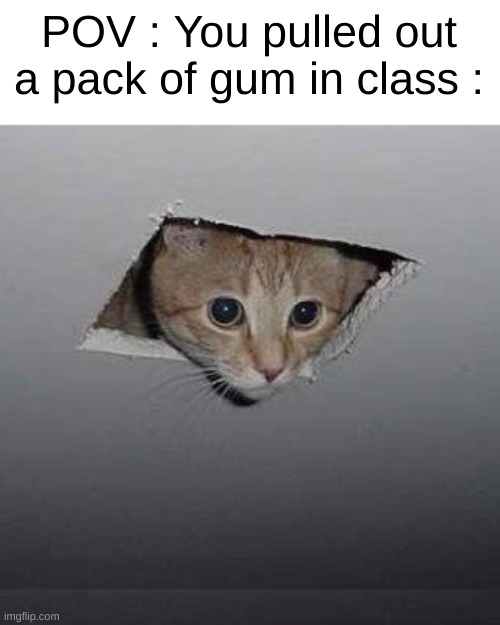 True | POV : You pulled out a pack of gum in class : | image tagged in memes,ceiling cat | made w/ Imgflip meme maker