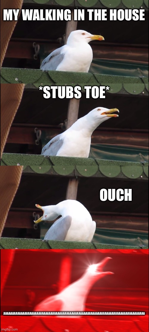 Inhaling Seagull | MY WALKING IN THE HOUSE; *STUBS TOE*; OUCH; AAAAAAAAAAAAAAAAAAAAAAAAAAAAAAAAAAAAAAAAAAAAAAAAAAAAAAAAAAAAAAAAAAAAAAAAAAAAAAAAA | image tagged in memes,inhaling seagull | made w/ Imgflip meme maker