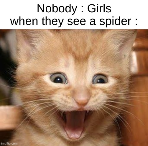 True |  Nobody : Girls when they see a spider : | image tagged in memes,excited cat | made w/ Imgflip meme maker