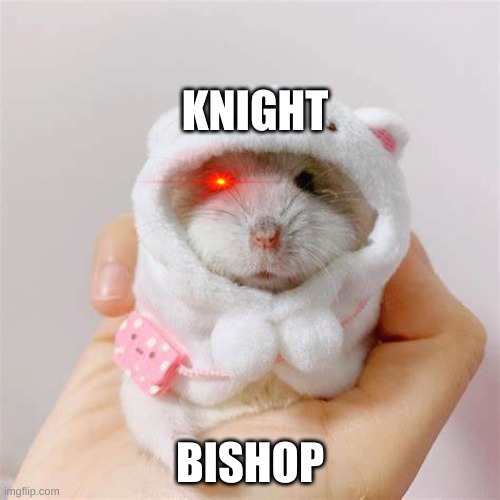 knight vs bishop | KNIGHT; BISHOP | image tagged in holding hamster | made w/ Imgflip meme maker