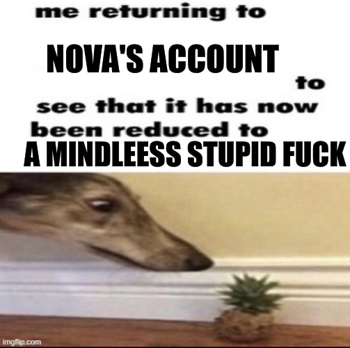 Me returning to to see that it has now been reduced to | NOVA'S ACCOUNT A MINDLEESS STUPID FUCK | image tagged in me returning to to see that it has now been reduced to | made w/ Imgflip meme maker