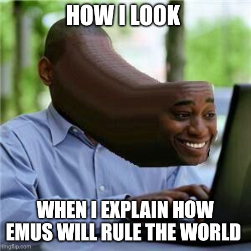 Emu apocalypse | HOW I LOOK; WHEN I EXPLAIN HOW EMUS WILL RULE THE WORLD | image tagged in nudes | made w/ Imgflip meme maker