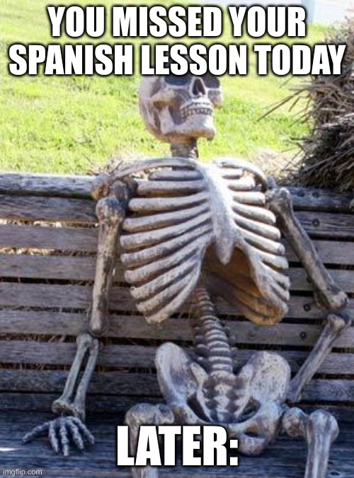 Waiting Skeleton Meme | YOU MISSED YOUR SPANISH LESSON TODAY; LATER: | image tagged in memes,waiting skeleton | made w/ Imgflip meme maker