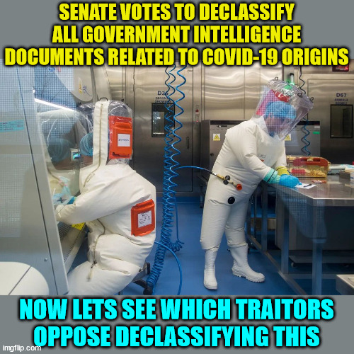 Americans deserve to know... the traitors will do all they can to oppose this... | SENATE VOTES TO DECLASSIFY ALL GOVERNMENT INTELLIGENCE DOCUMENTS RELATED TO COVID-19 ORIGINS; NOW LETS SEE WHICH TRAITORS OPPOSE DECLASSIFYING THIS | image tagged in government corruption,greedy,politicians | made w/ Imgflip meme maker