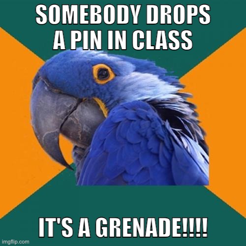 Even the slightest noise... | SOMEBODY DROPS A PIN IN CLASS; IT'S A GRENADE!!!! | image tagged in memes,paranoid parrot | made w/ Imgflip meme maker