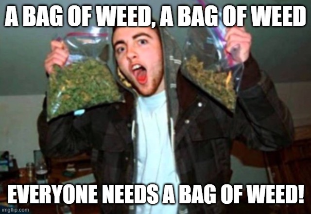 Please end me | A BAG OF WEED, A BAG OF WEED; EVERYONE NEEDS A BAG OF WEED! | image tagged in kid with bags of weed | made w/ Imgflip meme maker