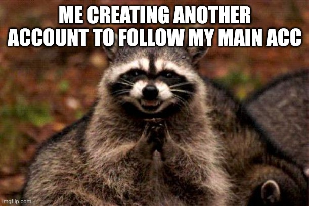 Evil Plotting Raccoon Meme | ME CREATING ANOTHER ACCOUNT TO FOLLOW MY MAIN ACC | image tagged in memes,evil plotting raccoon | made w/ Imgflip meme maker