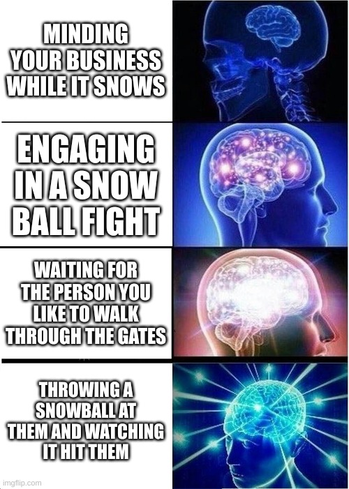 i can't emphasise how hard it hit him | MINDING YOUR BUSINESS WHILE IT SNOWS; ENGAGING IN A SNOW BALL FIGHT; WAITING FOR THE PERSON YOU LIKE TO WALK THROUGH THE GATES; THROWING A SNOWBALL AT THEM AND WATCHING IT HIT THEM | image tagged in memes,expanding brain,crush,snow | made w/ Imgflip meme maker