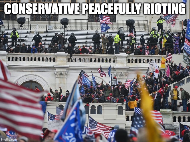 Insurrection Jan 6th 2021 | CONSERVATIVE PEACEFULLY RIOTING | image tagged in insurrection jan 6th 2021 | made w/ Imgflip meme maker