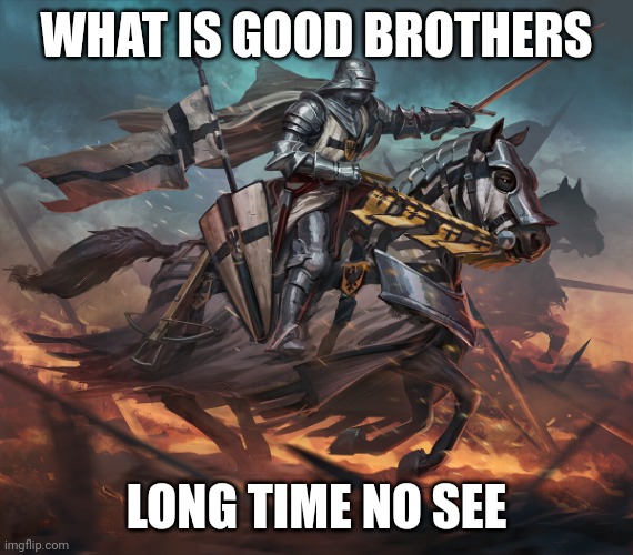 Guess who's baaackkk~ | WHAT IS GOOD BROTHERS; LONG TIME NO SEE | image tagged in tuetonic knight | made w/ Imgflip meme maker