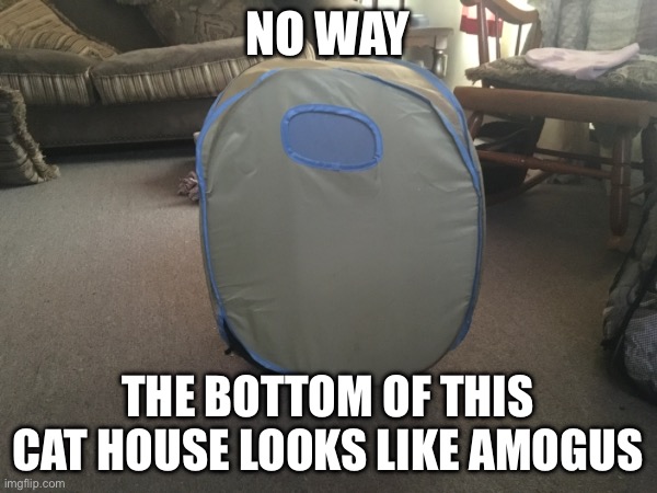 No way this looks like amogus.. | NO WAY; THE BOTTOM OF THIS CAT HOUSE LOOKS LIKE AMOGUS | image tagged in memes,meme,amogus,funny | made w/ Imgflip meme maker