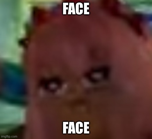Face | FACE; FACE | image tagged in face | made w/ Imgflip meme maker