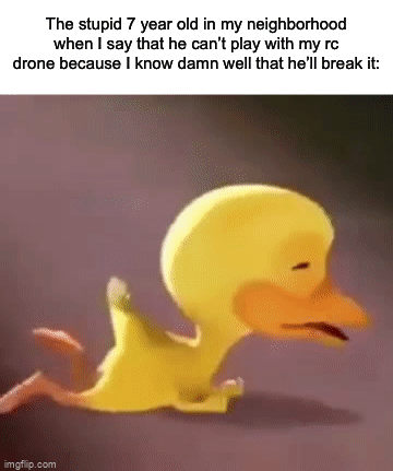This is actually a true story, there’s a dumb 7 year old in my neighborhood who got so pissed after I said no lmao | The stupid 7 year old in my neighborhood when I say that he can’t play with my rc drone because I know damn well that he’ll break it: | image tagged in gifs,memes,funny,true story,relatable memes,annoying | made w/ Imgflip video-to-gif maker