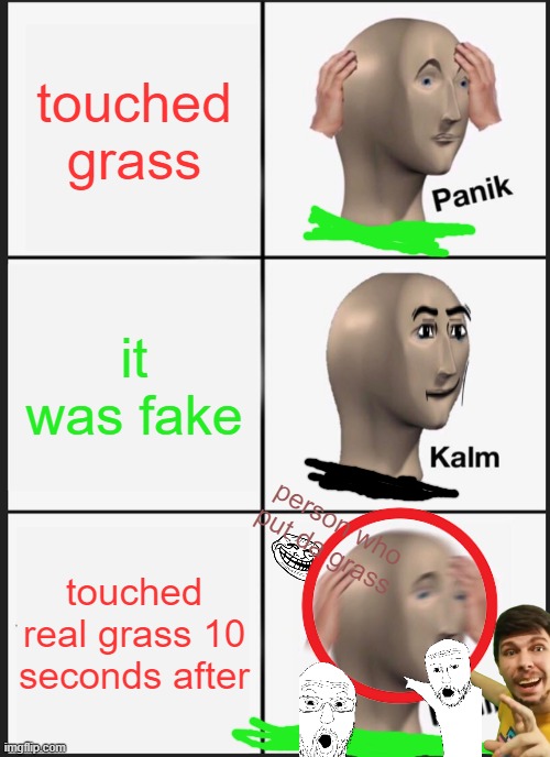 bro touched grass ? | touched grass; it was fake; person who put da grass; touched real grass 10 seconds after | image tagged in memes,panik kalm panik,gamer | made w/ Imgflip meme maker