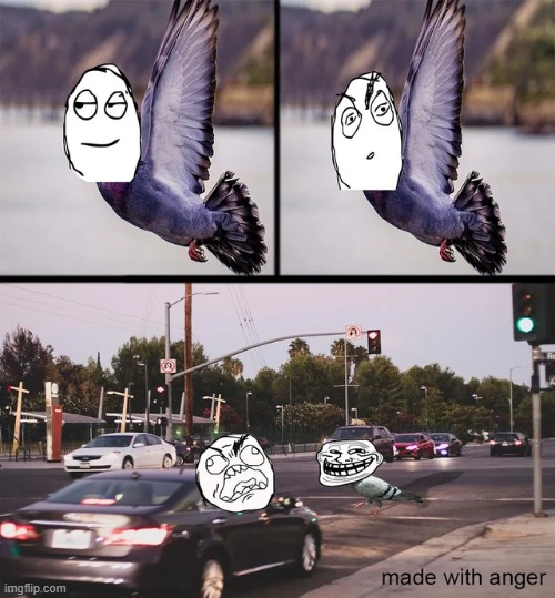 I swear those pigeons do that on purpose | image tagged in rage comics,repost,memes,funny,car,pigeons | made w/ Imgflip meme maker