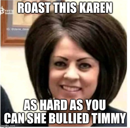 Poor lil Timmy | ROAST THIS KAREN; AS HARD AS YOU CAN SHE BULLIED TIMMY | image tagged in mega karen | made w/ Imgflip meme maker