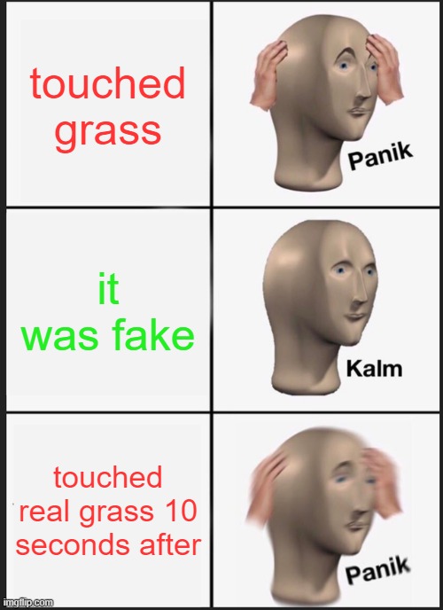 bro touched grass no mr beats or other | touched grass; it was fake; touched real grass 10 seconds after | image tagged in memes,panik kalm panik,gamer | made w/ Imgflip meme maker