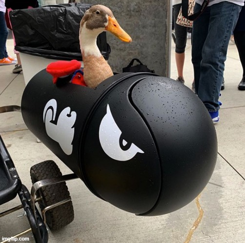 Bullet Bill Duck | image tagged in ducks,quack,cosplay,memes,funny,nintendo | made w/ Imgflip meme maker