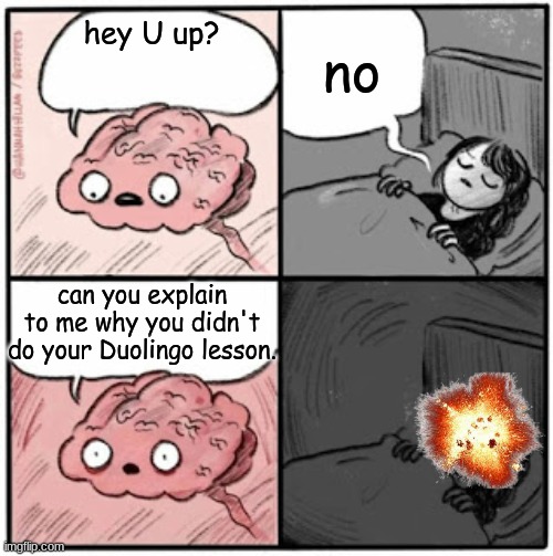 Brain Before Sleep | no; hey U up? can you explain to me why you didn't do your Duolingo lesson. | image tagged in brain before sleep | made w/ Imgflip meme maker