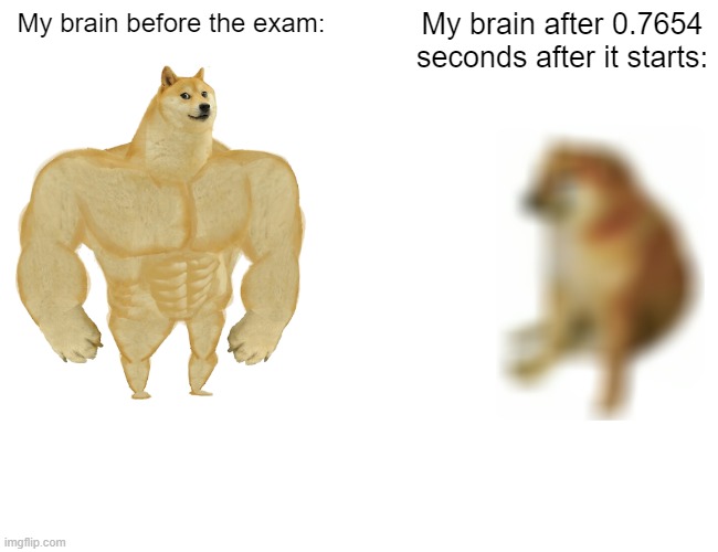 Buff Doge vs. Cheems | My brain before the exam:; My brain after 0.7654 seconds after it starts: | image tagged in memes,buff doge vs cheems | made w/ Imgflip meme maker