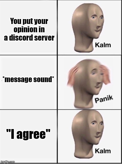 I don't know why I put it in the first place and then panic when someone replies | You put your opinion in a discord server; *message sound*; "I agree" | image tagged in reverse kalm panik | made w/ Imgflip meme maker