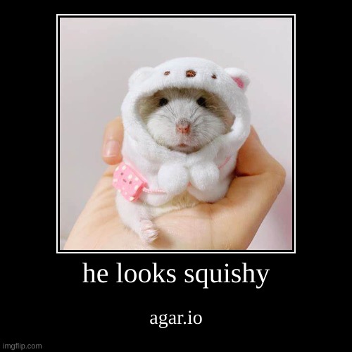 he does tho | image tagged in funny,demotivationals,hamster | made w/ Imgflip demotivational maker