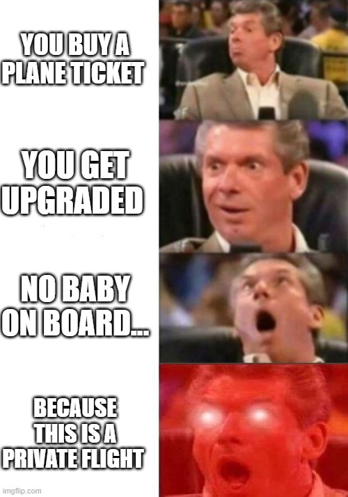 Mr. McMahon reaction | YOU BUY A PLANE TICKET; YOU GET UPGRADED; NO BABY ON BOARD... BECAUSE THIS IS A PRIVATE FLIGHT | image tagged in mr mcmahon reaction | made w/ Imgflip meme maker