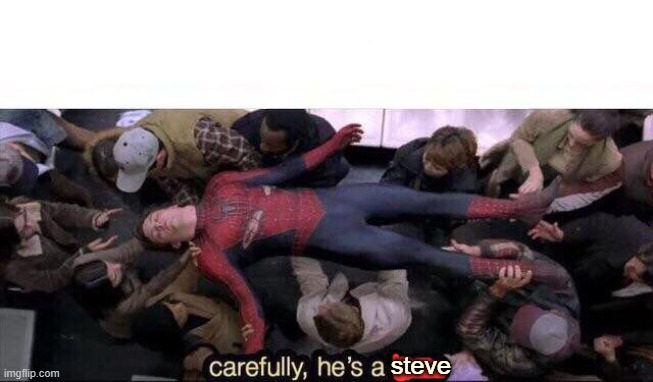Carefully he's a hero | steve | image tagged in carefully he's a hero | made w/ Imgflip meme maker
