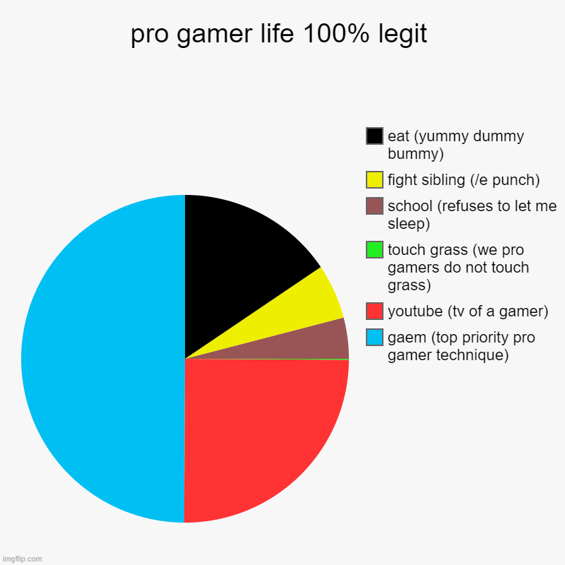 pro gamer life 100% legit | pro gamer life 100% legit | gaem (top priority pro gamer technique), youtube (tv of a gamer), touch grass (we pro gamers do not touch grass) | image tagged in charts,pie charts,gaming | made w/ Imgflip chart maker