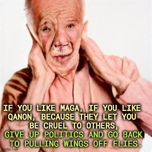 It is not the function of government to punish people who make you uncomfortable. | IF YOU LIKE MAGA, IF YOU LIKE 
QANON, BECAUSE THEY LET YOU 
BE CRUEL TO OTHERS, GIVE UP POLITICS AND GO BACK 
TO PULLING WINGS OFF FLIES. | image tagged in maga,qanon,cruel,politics,sadism,adults | made w/ Imgflip meme maker