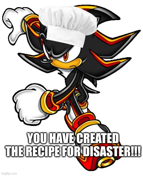 Shadow the hedgehog | YOU HAVE CREATED THE RECIPE FOR DISASTER!!! | image tagged in shadow the hedgehog | made w/ Imgflip meme maker