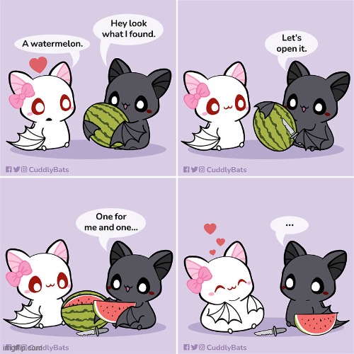 image tagged in bats,watermelon,share | made w/ Imgflip meme maker