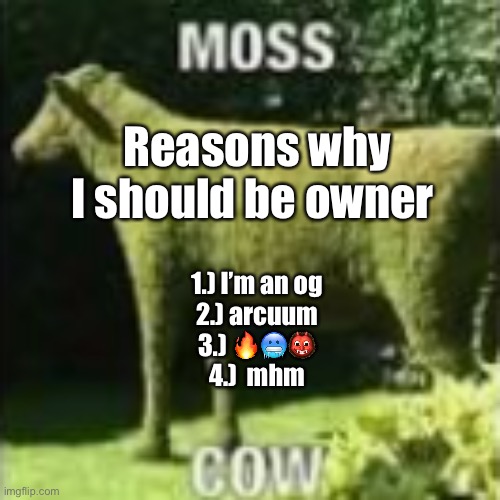 Moss Cow | Reasons why I should be owner; 1.) I’m an og
2.) arcuum
3.) 🔥🥶👹
4.)  mhm | image tagged in moss cow | made w/ Imgflip meme maker