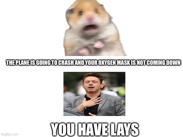 Lays meme | THE PLANE IS GOING TO CRASH AND YOUR OXYGEN MASK IS NOT COMING DOWN; YOU HAVE LAYS | image tagged in lol | made w/ Imgflip meme maker