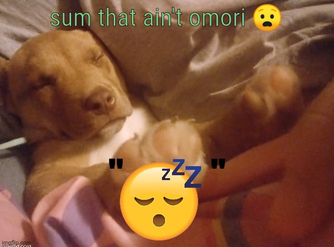 I hate myself | sum that ain't omori 😧 | image tagged in quandale | made w/ Imgflip meme maker