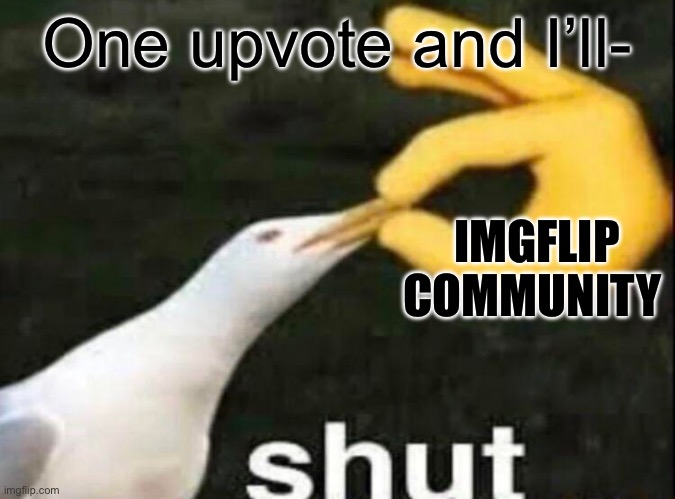 SHUT | One upvote and I’ll-; IMGFLIP COMMUNITY | image tagged in shut,upvote begging | made w/ Imgflip meme maker