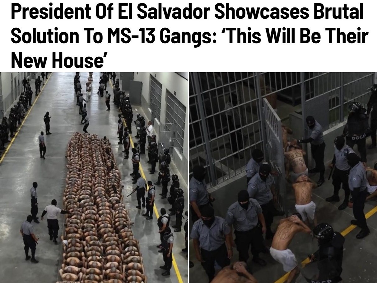 El Salvador Showcases Brutal Solution To MS-13 Gangs: ‘This Will Be Their New House’ | image tagged in el salvador,ms-13 gang,gang members,swine,murderers,drug cartels | made w/ Imgflip meme maker