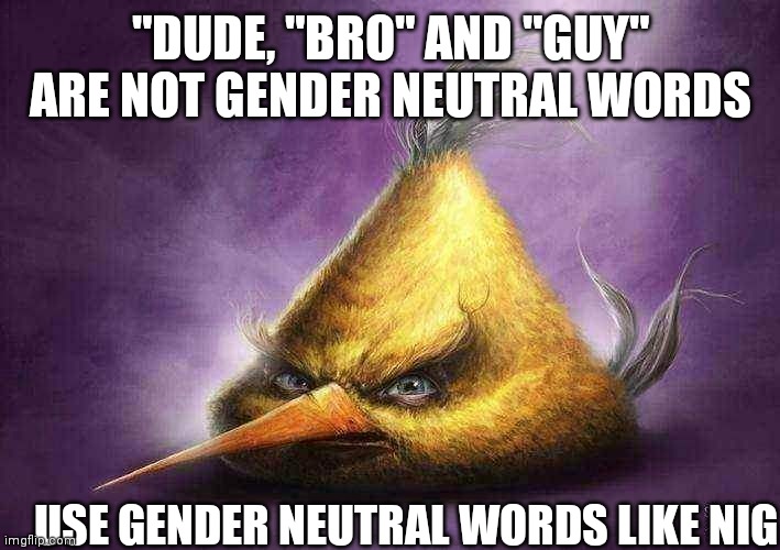 m | "DUDE, "BRO" AND "GUY" ARE NOT GENDER NEUTRAL WORDS; USE GENDER NEUTRAL WORDS LIKE NIG | made w/ Imgflip meme maker