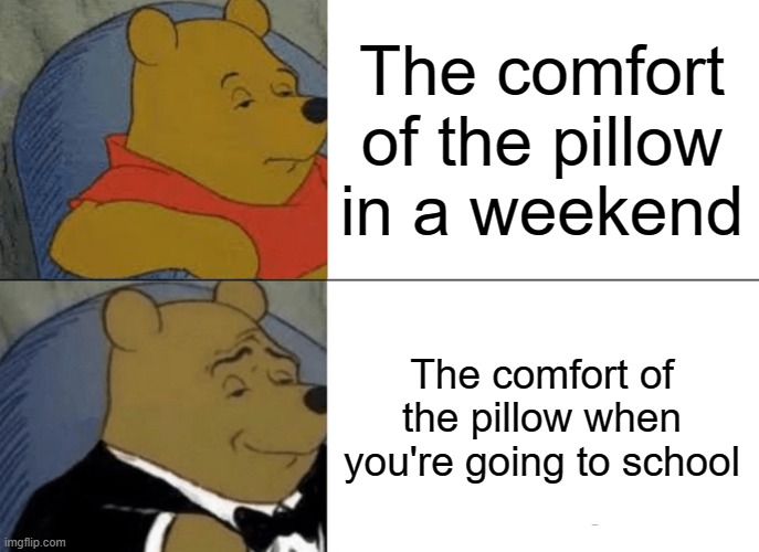 relatable? | The comfort of the pillow in a weekend; The comfort of the pillow when you're going to school | image tagged in memes,tuxedo winnie the pooh | made w/ Imgflip meme maker