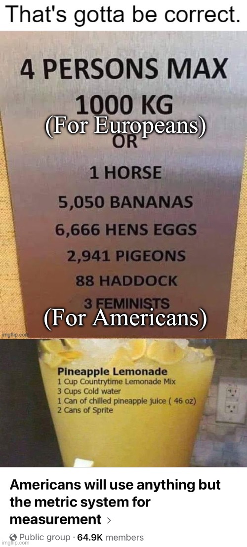 (For Europeans) (For Americans) | image tagged in americans will use anything but the metric system,weight | made w/ Imgflip meme maker