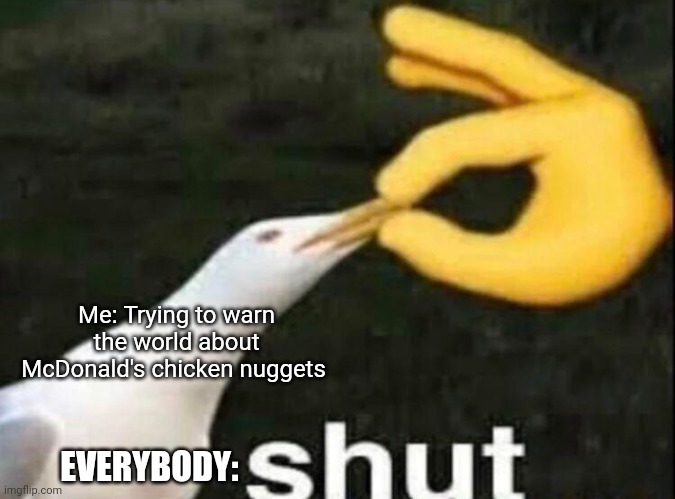 I have to warn them about the chicken nuggets | Me: Trying to warn the world about McDonald's chicken nuggets; EVERYBODY: | image tagged in shut | made w/ Imgflip meme maker