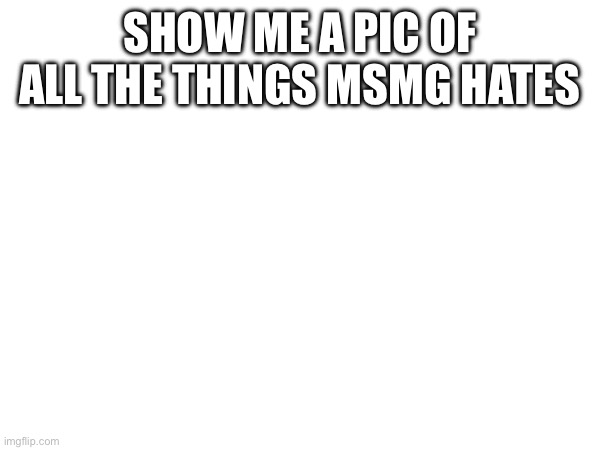 SHOW ME A PIC OF ALL THE THINGS MSMG HATES | made w/ Imgflip meme maker