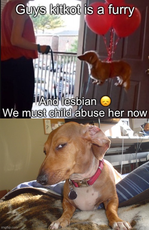 source? | image tagged in suspicious dog | made w/ Imgflip meme maker