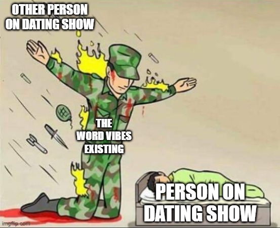 Soldier protecting sleeping child | OTHER PERSON ON DATING SHOW; THE WORD VIBES EXISTING; PERSON ON DATING SHOW | image tagged in soldier protecting sleeping child | made w/ Imgflip meme maker