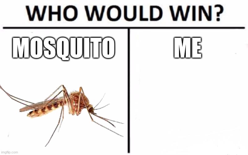 Who Would Win? Meme | MOSQUITO ME | image tagged in memes,who would win | made w/ Imgflip meme maker