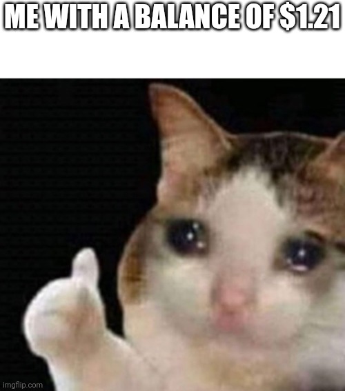 Crying Cat with Thumbs | ME WITH A BALANCE OF $1.21 | image tagged in crying cat with thumbs | made w/ Imgflip meme maker