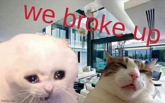 goofy cats | made w/ Imgflip meme maker
