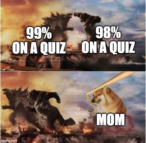 school sucks | 99% ON A QUIZ 98% ON A QUIZ MOM | image tagged in school | made w/ Imgflip meme maker